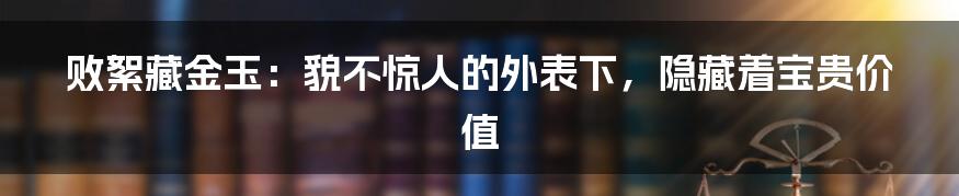 败絮藏金玉:貌不惊人的外表下,隐藏着宝贵价值