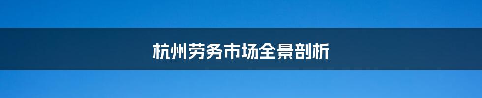 杭州劳务市场全景剖析