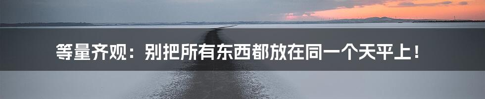 等量齐观：别把所有东西都放在同一个天平上！