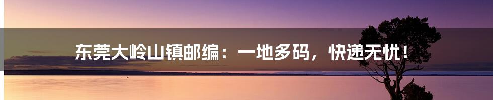 东莞大岭山镇邮编:一地多码,快递无忧!