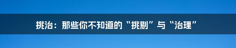 挑治:那些你不知道的“挑剔”与“治理”