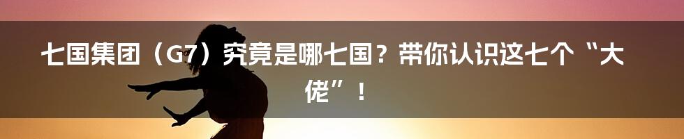 七国集团(G7)究竟是哪七国?带你认识这七个“大佬”!