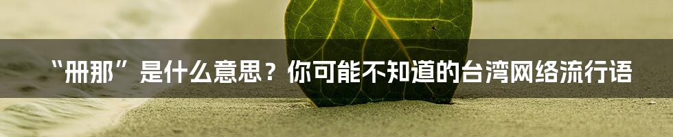 “册那”是什么意思?你可能不知道的台湾网络流行语