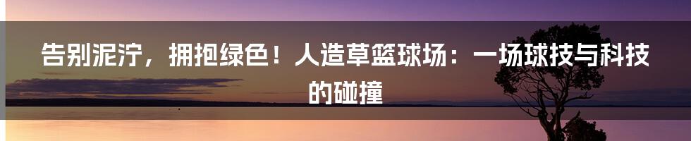 告别泥泞,拥抱绿色!人造草篮球场:一场球技与科技的碰撞