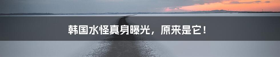 韩国水怪真身曝光,原来是它!