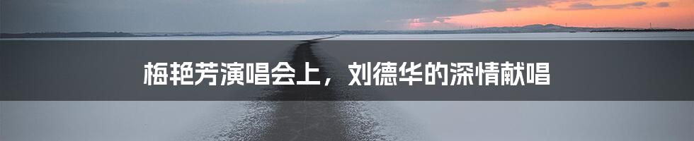 梅艳芳演唱会上,刘德华的深情献唱