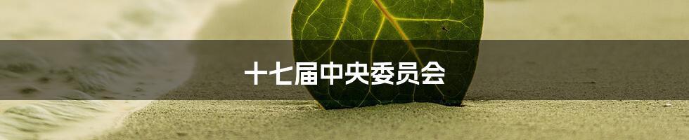 十七届中央委员会