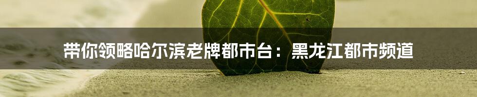 带你领略哈尔滨老牌都市台:黑龙江都市频道