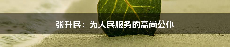张升民:为人民服务的高尚公仆