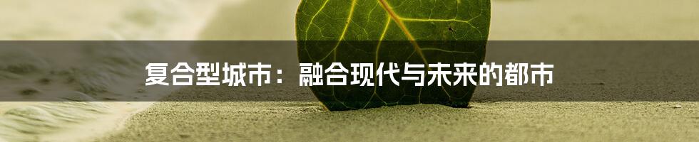 复合型城市:融合现代与未来的都市