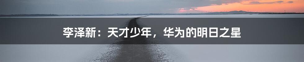 李泽新：天才少年，华为的明日之星