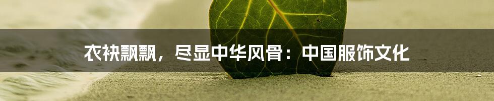 衣袂飘飘,尽显中华风骨:中国服饰文化