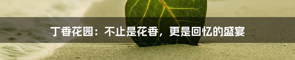 丁香花园:不止是花香,更是回忆的盛宴