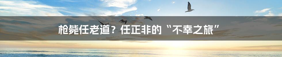 枪毙任老道?任正非的“不幸之旅”