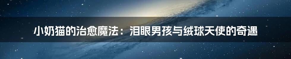 小奶猫的治愈魔法:泪眼男孩与绒球天使的奇遇