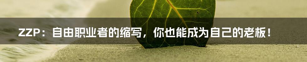 ZZP:自由职业者的缩写,你也能成为自己的老板!