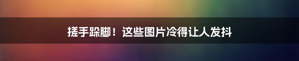搓手跺脚!这些图片冷得让人发抖