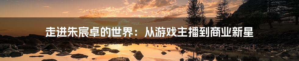 走进朱宸卓的世界:从游戏主播到商业新星