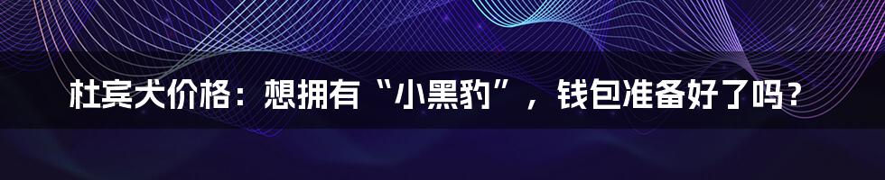 杜宾犬价格:想拥有“小黑豹”,钱包准备好了吗?