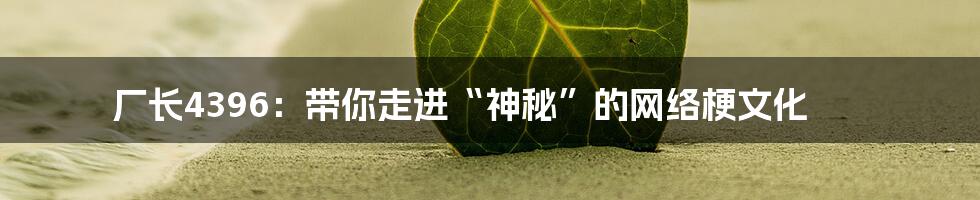 厂长4396:带你走进“神秘”的网络梗文化