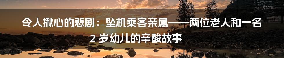 令人揪心的悲剧:坠机乘客亲属——两位老人和一名 2 岁幼儿的辛酸故事