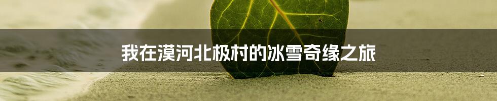 我在漠河北极村的冰雪奇缘之旅