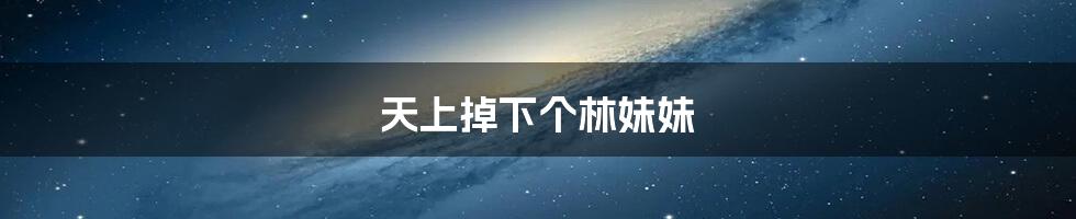 天上掉下个林妹妹