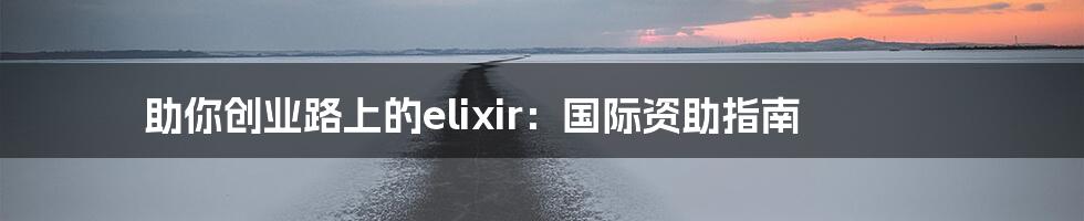助你创业路上的elixir：国际资助指南