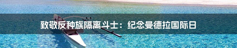 致敬反种族隔离斗士:纪念曼德拉国际日