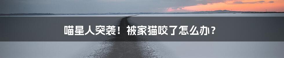 喵星人突袭！被家猫咬了怎么办？