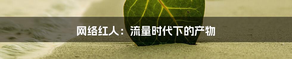 网络红人:流量时代下的产物