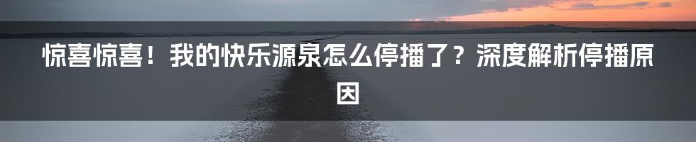 惊喜惊喜!我的快乐源泉怎么停播了?深度解析停播原因