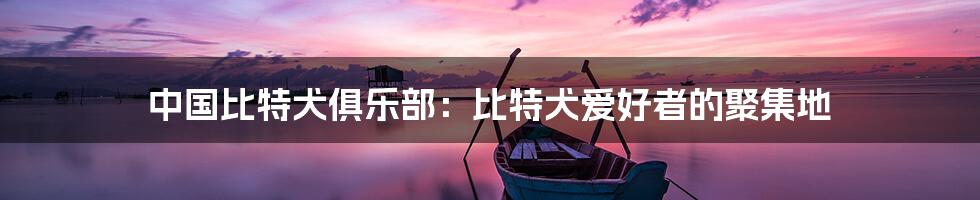 中国比特犬俱乐部:比特犬爱好者的聚集地