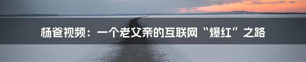 杨爸视频:一个老父亲的互联网“爆红”之路