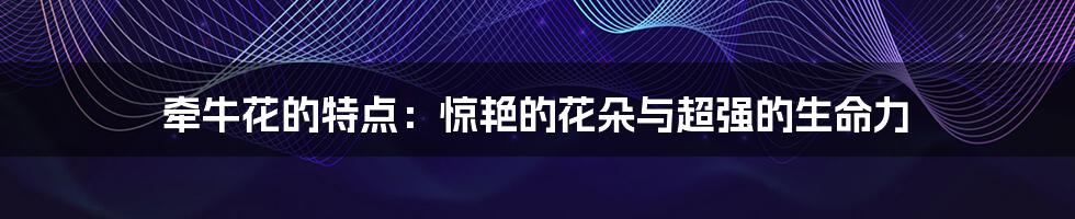 牵牛花的特点:惊艳的花朵与超强的生命力