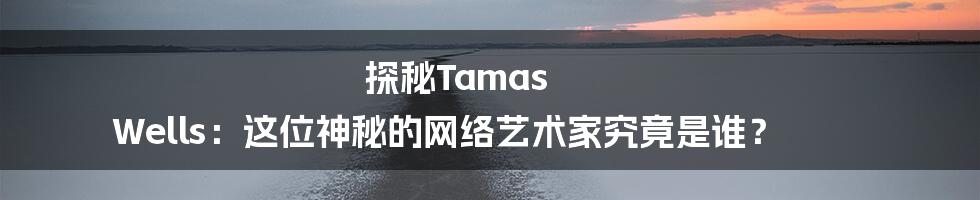 探秘Tamas Wells:这位神秘的网络艺术家究竟是谁?