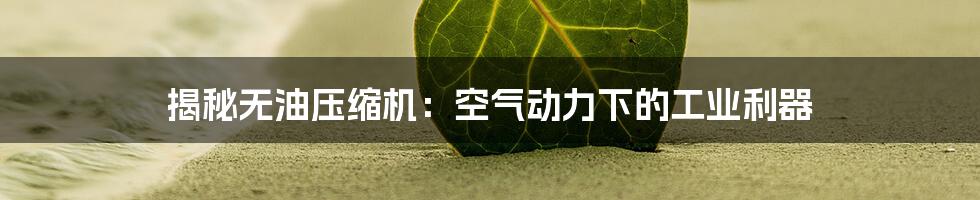 揭秘无油压缩机：空气动力下的工业利器