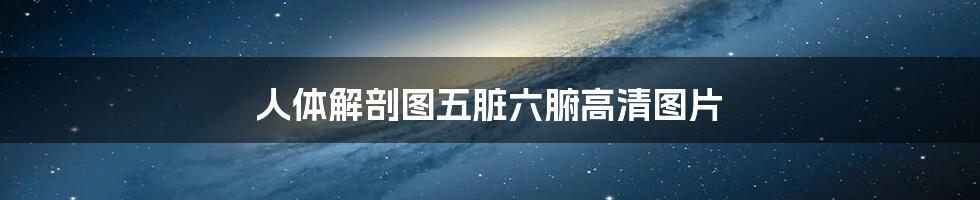 人体解剖图五脏六腑高清图片