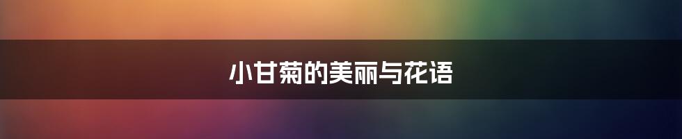 小甘菊的美丽与花语