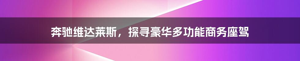 奔驰维达莱斯,探寻豪华多功能商务座驾