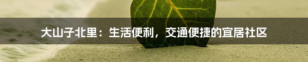 大山子北里:生活便利,交通便捷的宜居社区