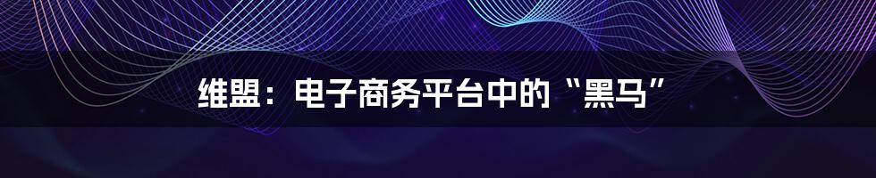 维盟：电子商务平台中的“黑马”