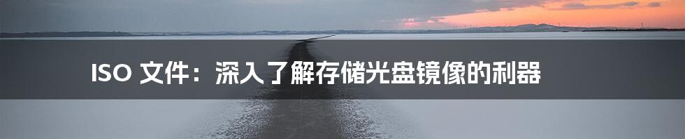 ISO 文件:深入了解存储光盘镜像的利器