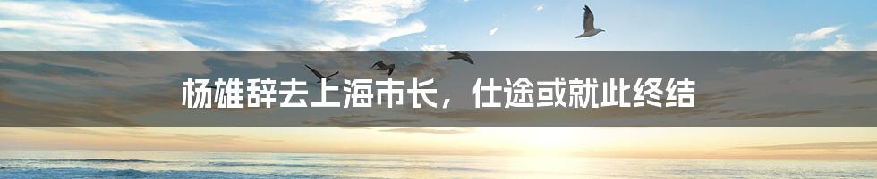 杨雄辞去上海市长,仕途或就此终结