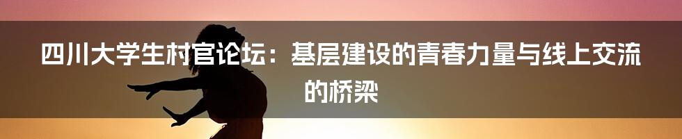 四川大学生村官论坛:基层建设的青春力量与线上交流的桥梁