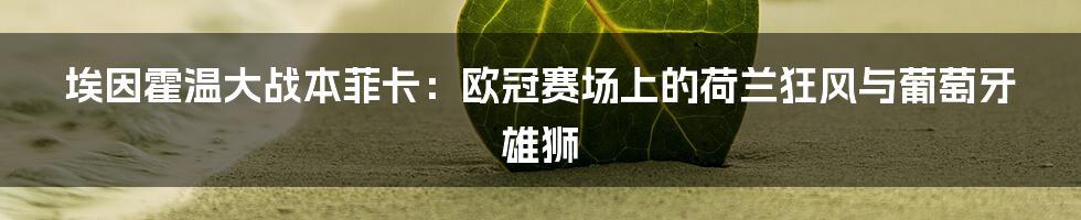 埃因霍温大战本菲卡:欧冠赛场上的荷兰狂风与葡萄牙雄狮