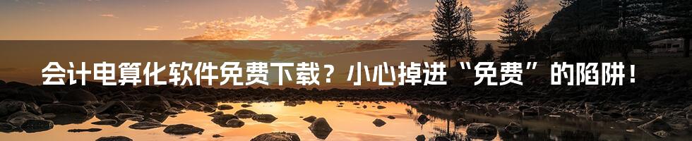 会计电算化软件免费下载?小心掉进“免费”的陷阱!