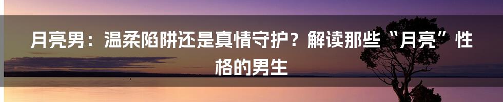 月亮男:温柔陷阱还是真情守护?解读那些“月亮”性格的男生