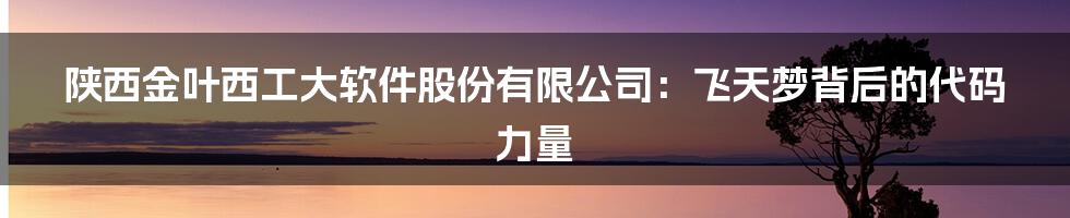 陕西金叶西工大软件股份有限公司:飞天梦背后的代码力量