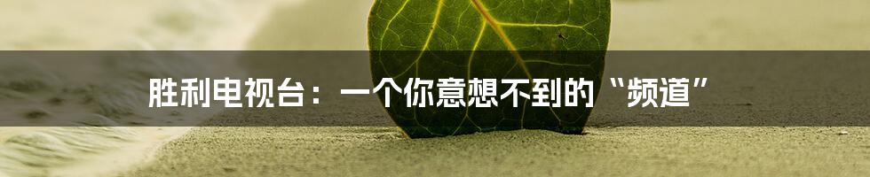 胜利电视台:一个你意想不到的“频道”